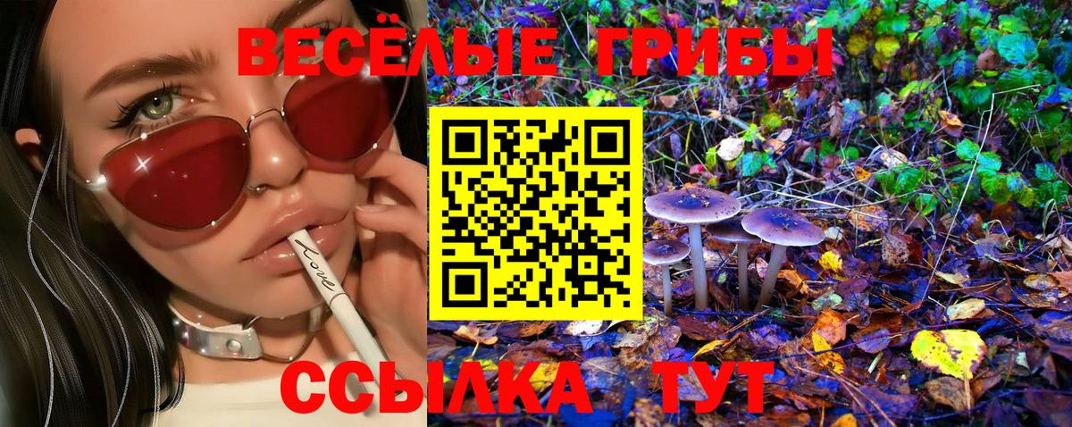 Псилоцибиновые грибы MAGIC MUSHROOMS  Вход с VPN  Туапсе  Галлюциногенные грибы MAGIC MUSHROOMS 