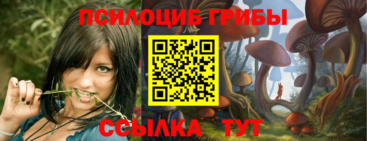 Галлюциногенные грибы Psilocybine cubensis Туапсе